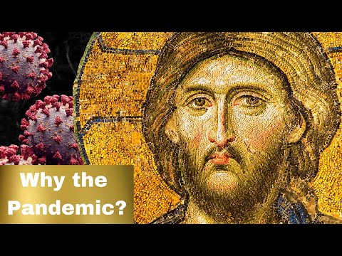 VIDEO: Why The Pandemic? – Part 1// Father Cyril of Vatopedi