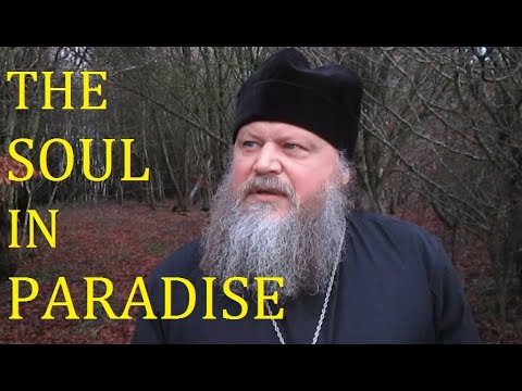 VIDEO: THE SOUL IN PARADISE
