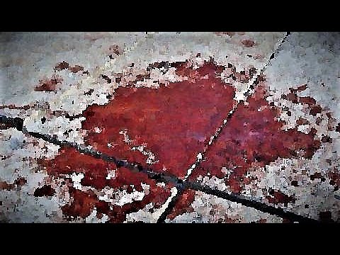 VIDEO: Apocalyptic Orthodoxy: Do we Bleed or Apostasize?