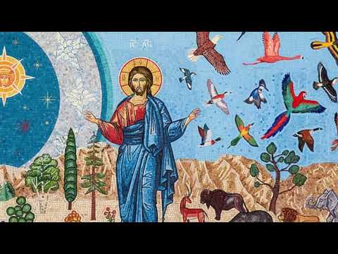 VIDEO: (19) OSC: Evolution: The Orthodox Perspective 2/3