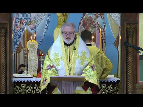 VIDEO: Homily at the Divine Liturgy on the Sunday of the Holy Forefathers