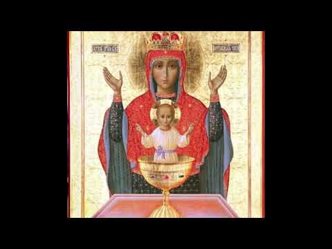 VIDEO: Reading of the Akathist to the Mother of God “The Inexhaustible Cup”