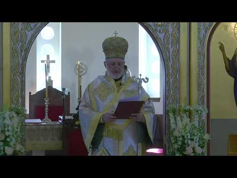 VIDEO: Address at the Ordination of Bishop-Elect Athenagoras of Nazianzos