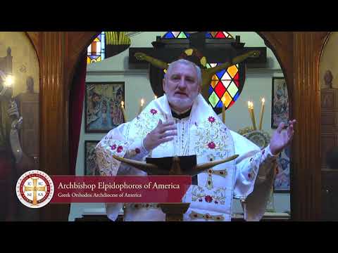 VIDEO: Homily at the Divine Liturgy on the Sunday after the Holy Theophany (Greek)
