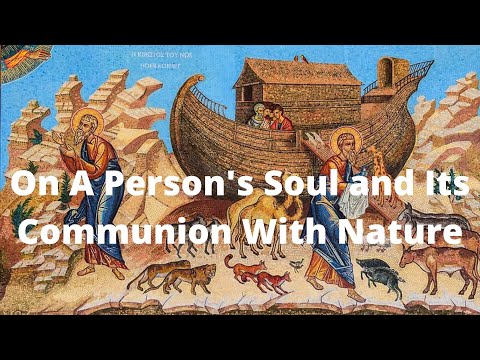 VIDEO: Orthodox Catechesis Episode 3: On A Person's Soul and Its Communion With Nature // Father Calistrat