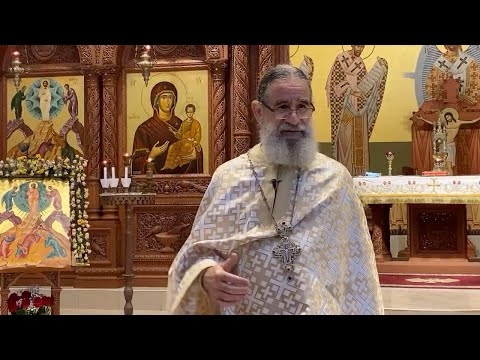 VIDEO: Seeking Healing after the Elections in the U.S.A. – Homily by Fr.  Panayiotis Papageorgiou 11/08/20