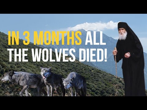 VIDEO: Saint Paisios, the wolves and how to defeat coronavirus with prayer