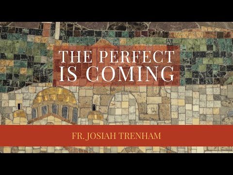 VIDEO: The Perfect is Coming