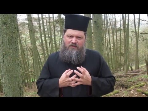 VIDEO: Direct Knowledge of God ~ St Gregory Palamas