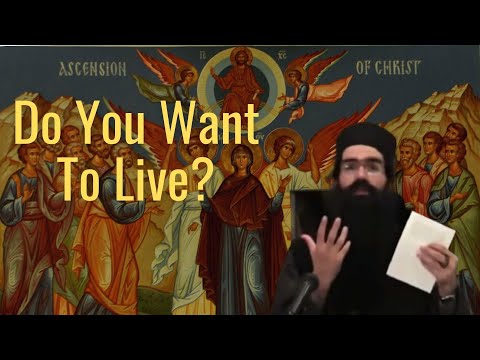 VIDEO: Do You Want To Live? // Abbot Raphael – The Blessing That Christ Left For Us