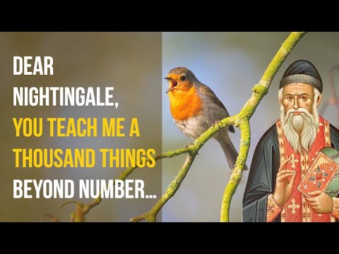 VIDEO: Saint Porphyrios: inspiring dialogue with a bird