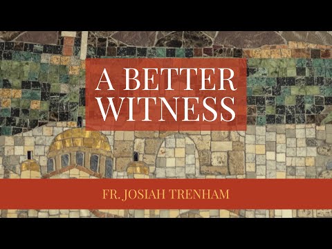 VIDEO: A Better Witness