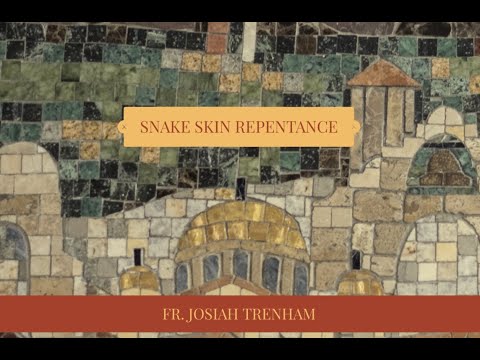 VIDEO: Snake Skin Repentance