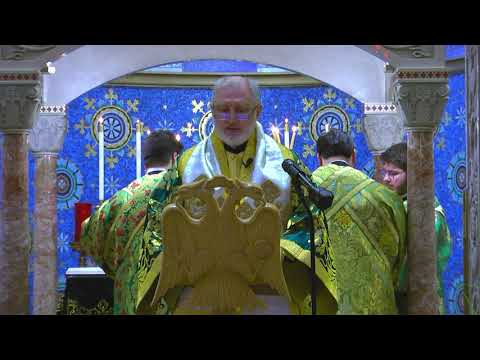 VIDEO: His Eminence Archbishop Elpidophoros Palm Sunday Sermon 2021