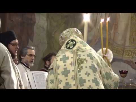 VIDEO: Orthodox Patriarch of Sofia serves Divine Liturgy