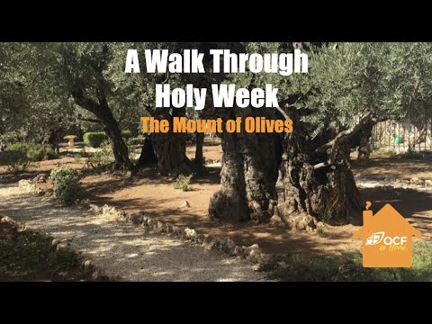 VIDEO: A Walk Through Holy Week: The Mount of Olives