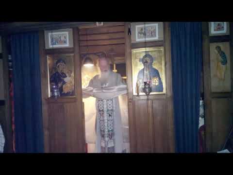 VIDEO: 2021.01.10 Divine Liturgy, Sunday After Theophany.