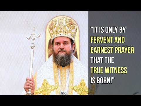 VIDEO: "It is only by fervent and earnest prayer that the true witness is born" (Bp. Teofil)