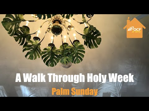 VIDEO: A Walk Through Holy Week: Palm Sunday