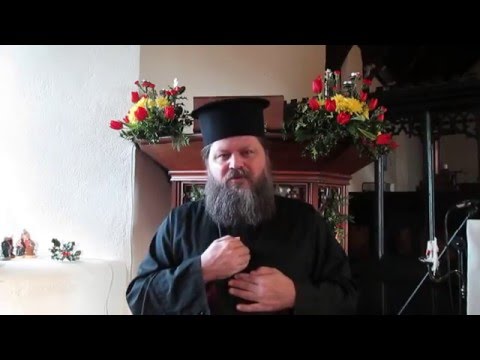 VIDEO: Orthodox reflections on Christmas