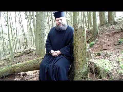 VIDEO: Orthodox teaching about Christ's sovereignty